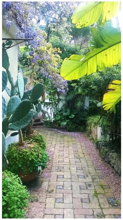 B&B La Salamandra Kitchengarden Forio di Ischia Exterior foto