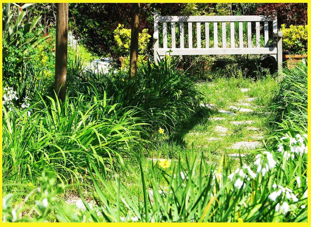 B&B La Salamandra Kitchengarden Forio di Ischia Exterior foto